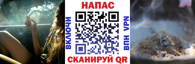 Конопля конопля  Элиста 